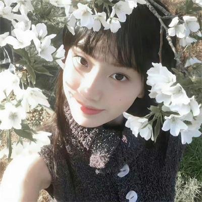 行尸走肉第八季